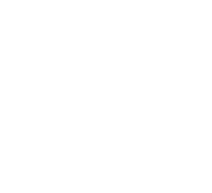 logo white